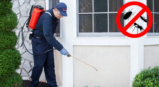 Susuz Dezenfeksiyon böcek ilaçlama ve haşere kontrolü — ilaclama-tr.com